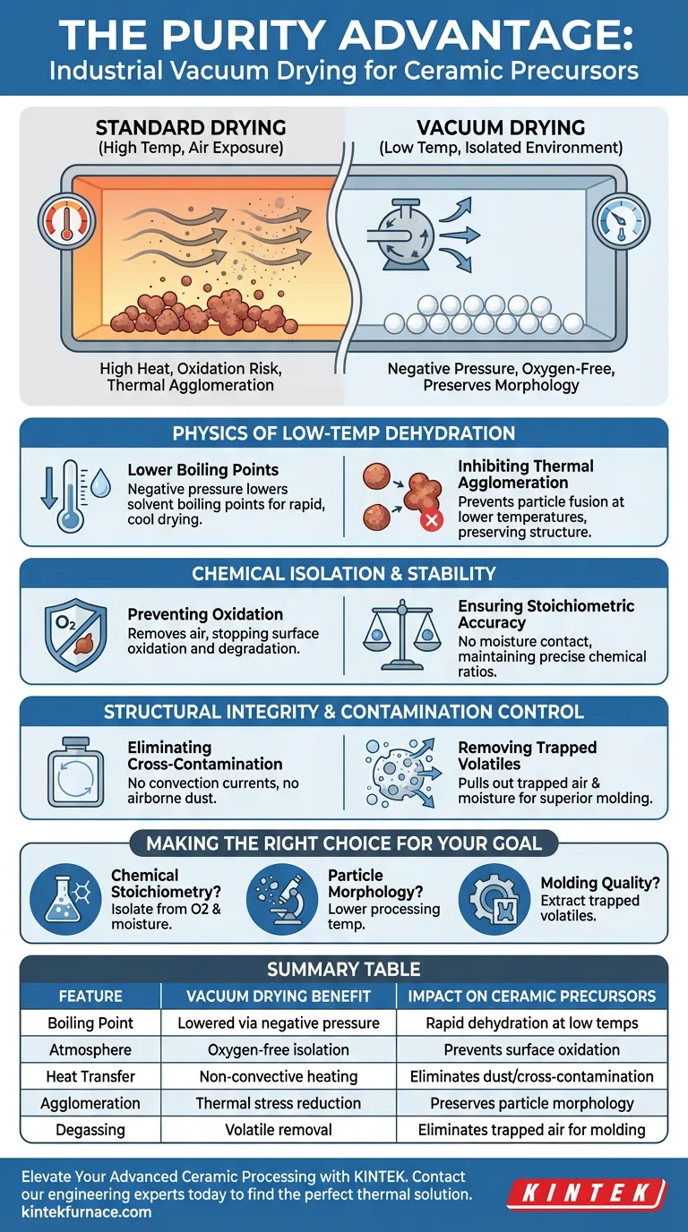 Warum ist ein industrieller Vakuumtrockenschrank für Keramikvorläufer unerlässlich? Bewahrung der Materialreinheit und Stöchiometrie Visuelle Anleitung