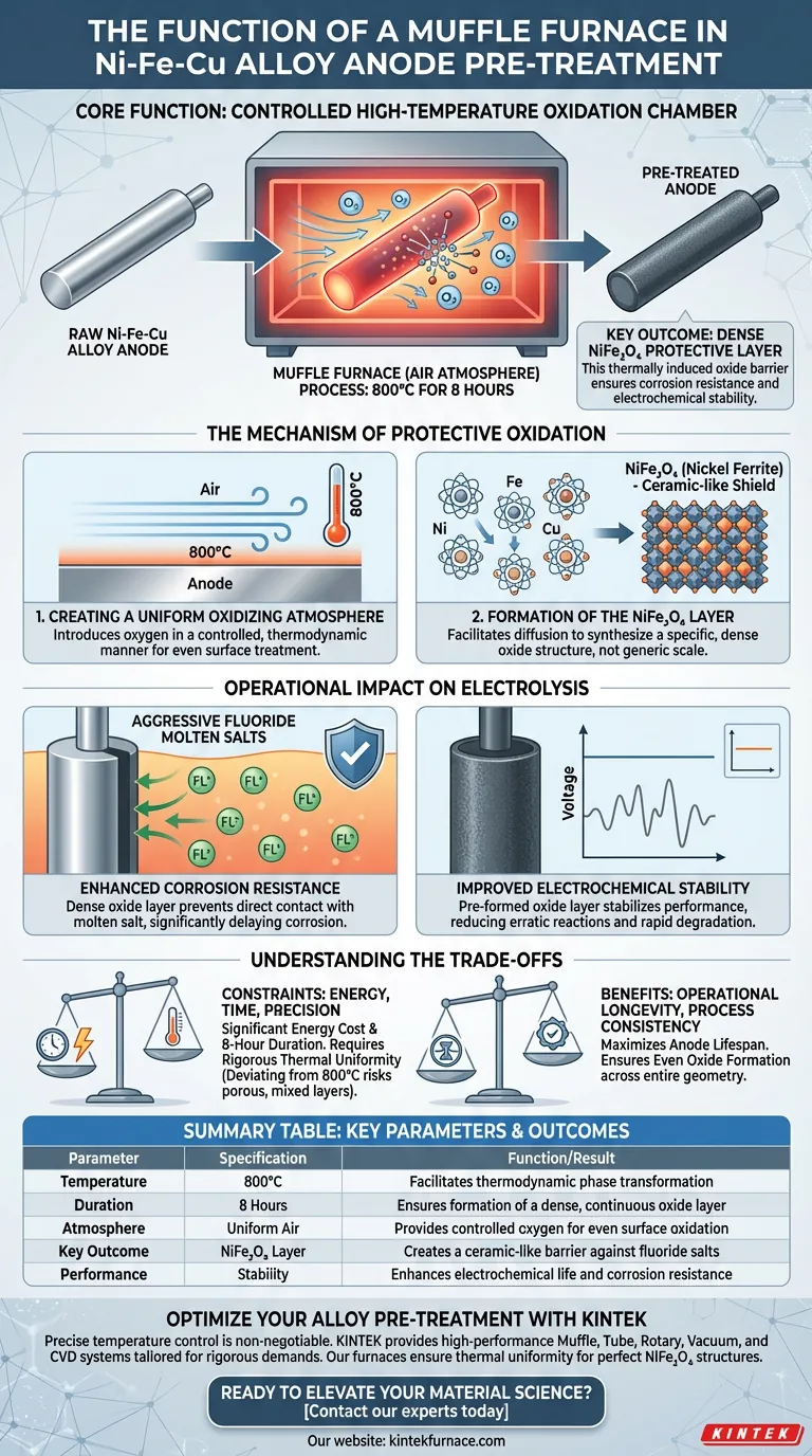Какова функция муфельной печи при предварительной обработке анодов из сплава Ni-Fe-Cu? Обеспечение превосходной коррозионной стойкости Визуальное руководство