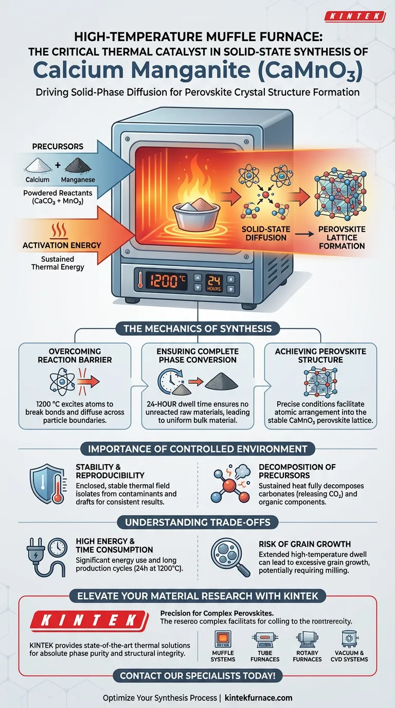 高温马弗炉在固相合成中扮演什么角色？掌握 CaMnO3 钙锰矿生产 图解指南