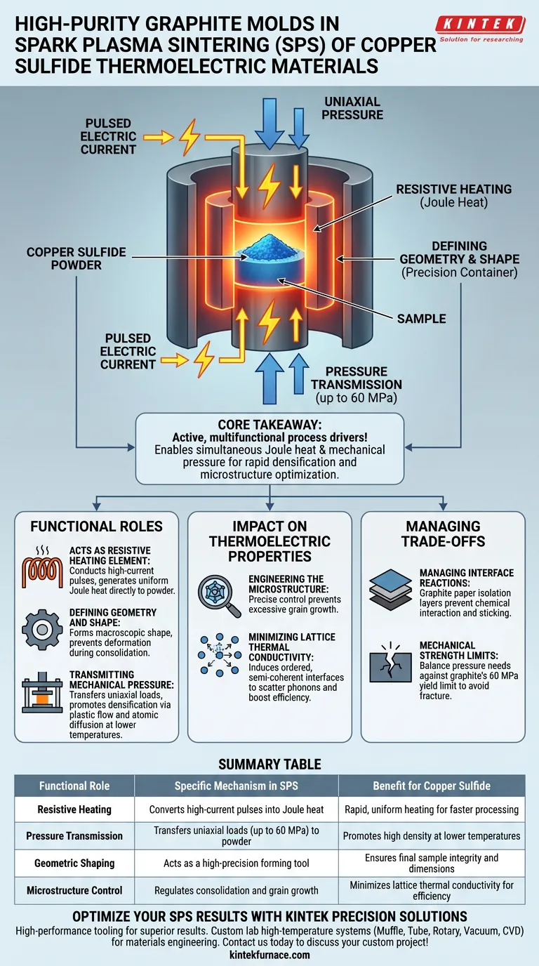 高纯石墨模具在硫化铜的SPS中扮演什么角色？提升您的热电材料质量 图解指南