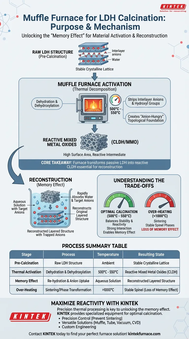 ¿Cuál es el propósito de usar un horno mufla para la calcinación de LDH? Desbloquea el efecto memoria para la reconstrucción avanzada Guía Visual