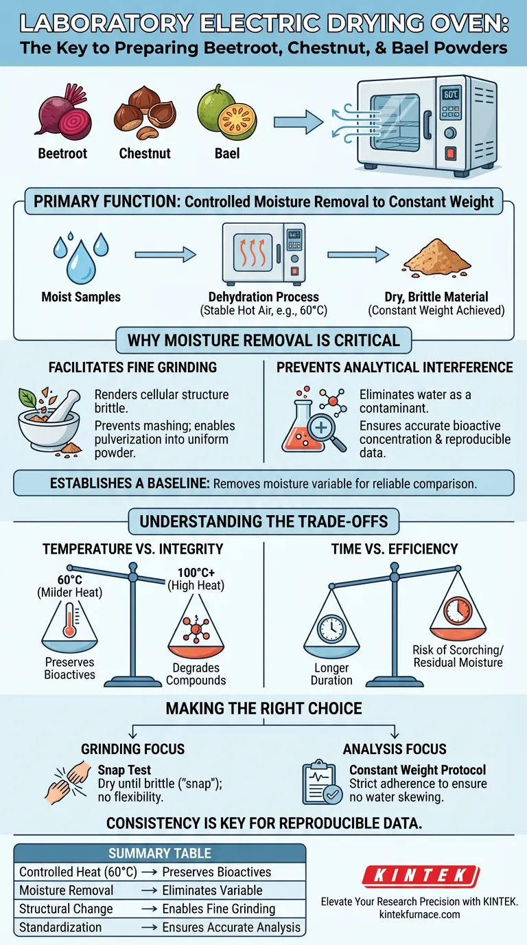 Was ist die Hauptfunktion eines Labor-Elektrotrockenschranks bei der Probenvorbereitung? Gewährleistung reiner, mahlfertiger Pulver Visuelle Anleitung
