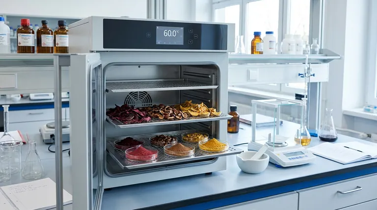 Was ist die Hauptfunktion eines Labor-Elektrotrockenschranks bei der Probenvorbereitung? Gewährleistung reiner, mahlfertiger Pulver