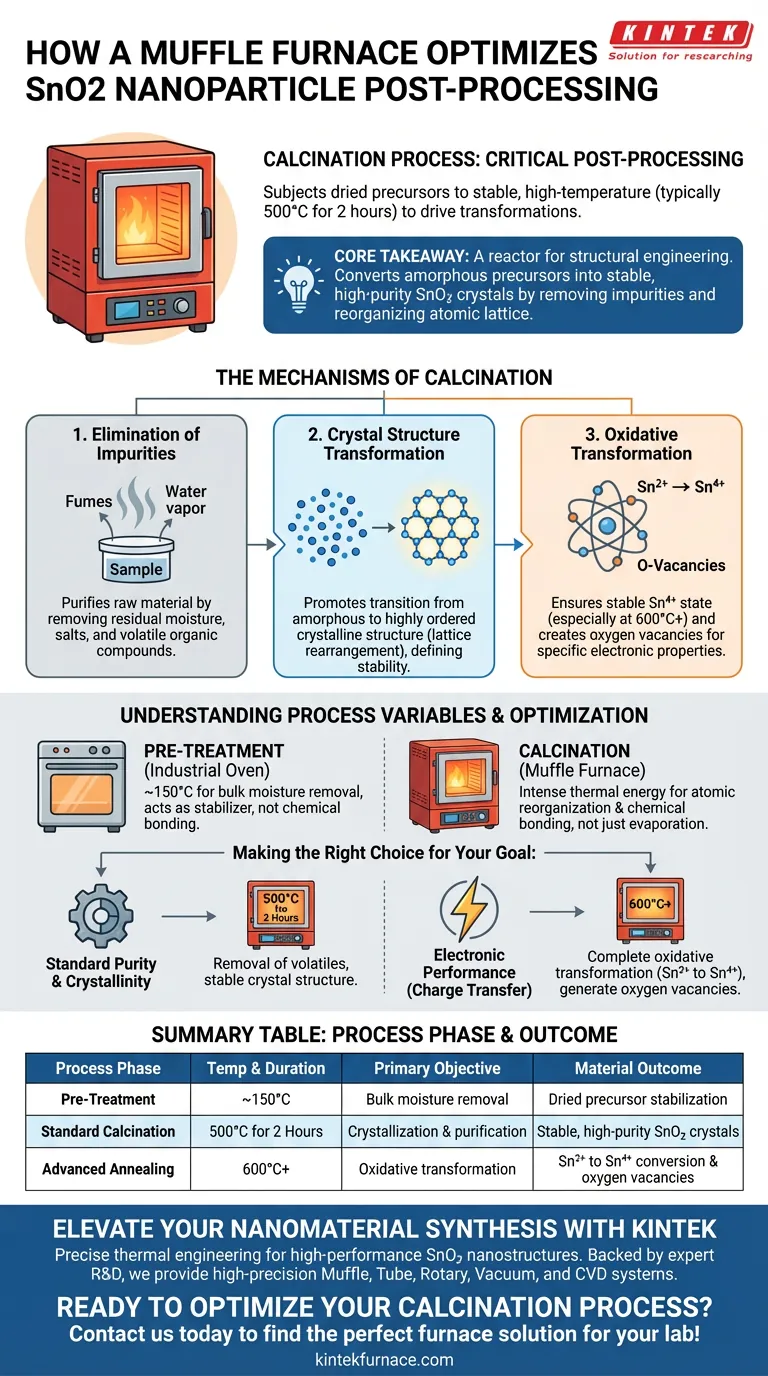 马弗炉如何促进SnO2的后处理？工程化优异的纳米晶体 图解指南
