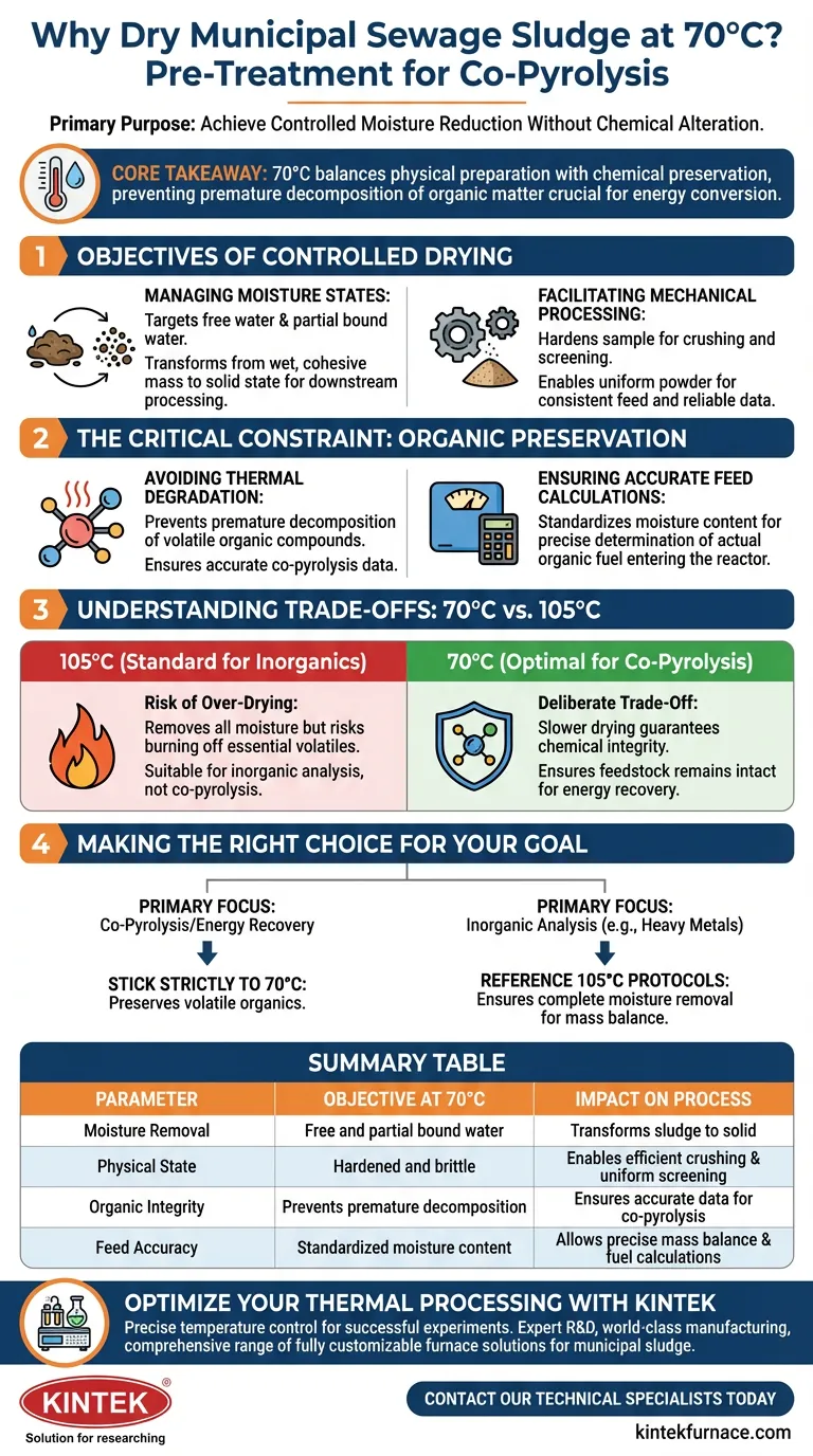 Какова цель установки промышленной сушильной печи на 70°C для осадка? Сохранение летучих веществ и оптимизация предварительной обработки Визуальное руководство