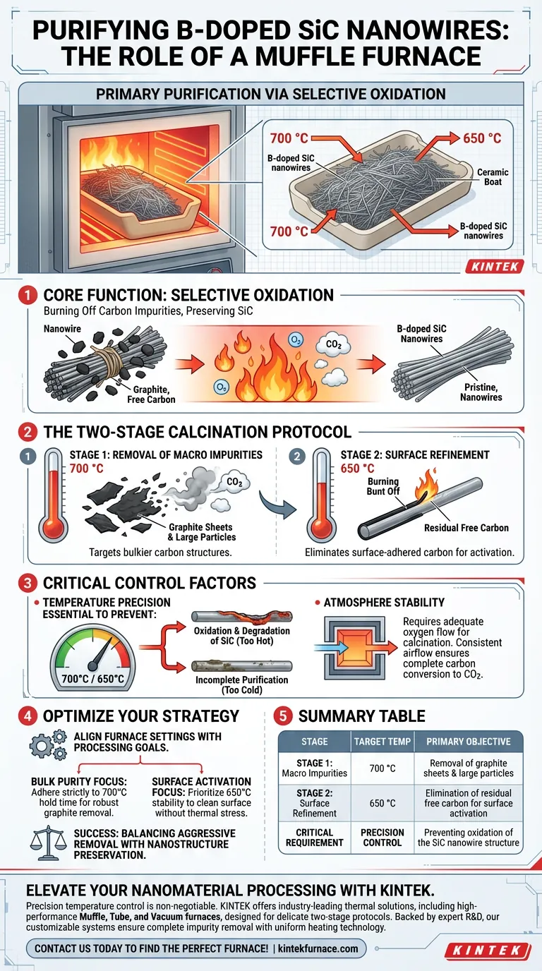 ¿Cómo se utiliza un horno mufla en el postratamiento de nanocables de SiC dopados con B? Garantice alta pureza e integridad Guía Visual