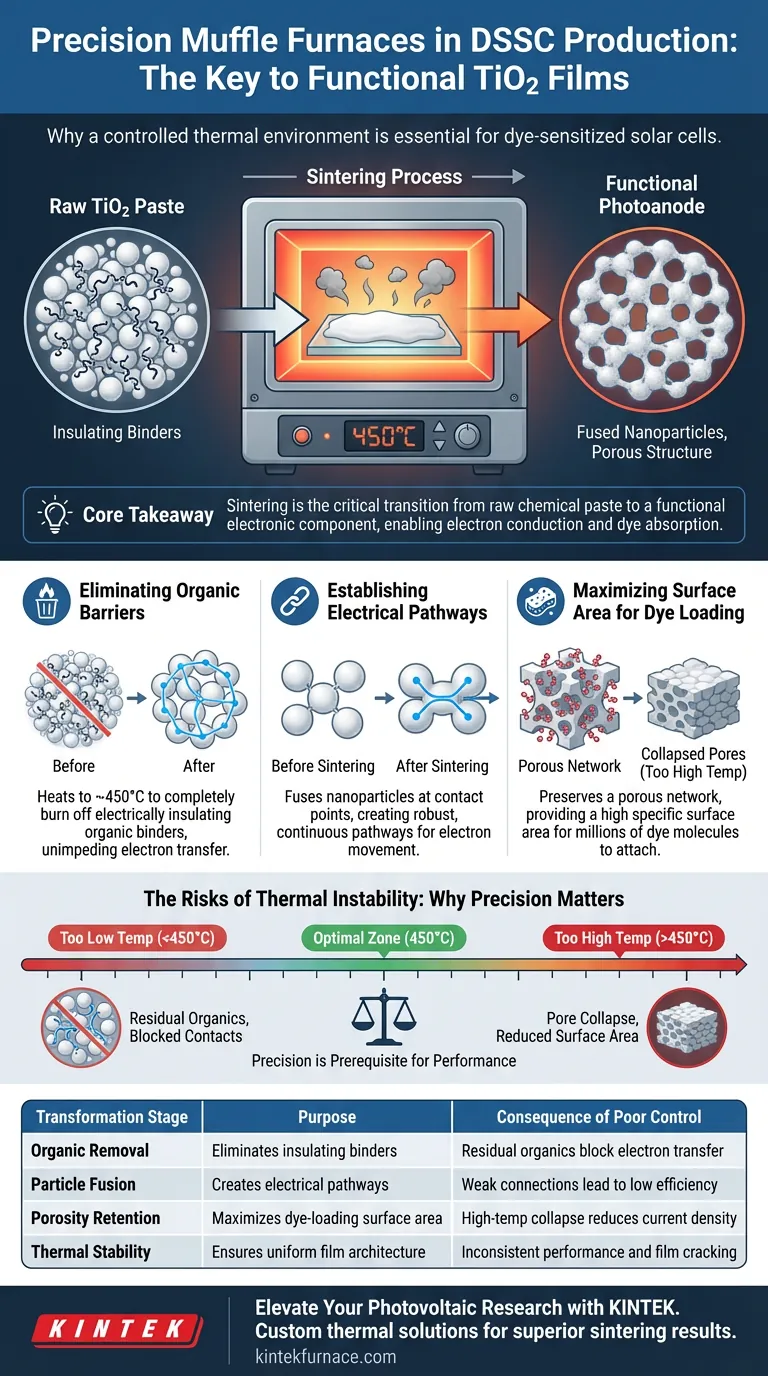 为什么需要精密马弗炉来烧结TiO2？优化您的染料敏化太阳能电池性能 图解指南