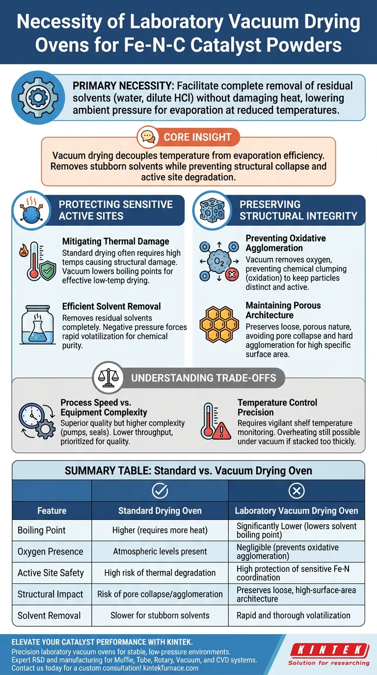 在处理 Fe-N-C 催化剂粉末时，使用实验室真空干燥箱的必要性是什么？ 图解指南