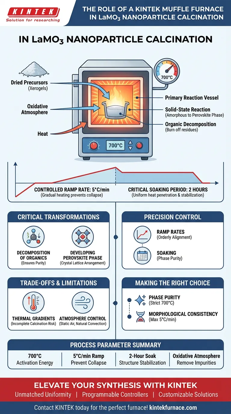 在 LaMO3 煅烧过程中，马弗炉起什么作用？掌握钙钛矿纳米颗粒合成 图解指南
