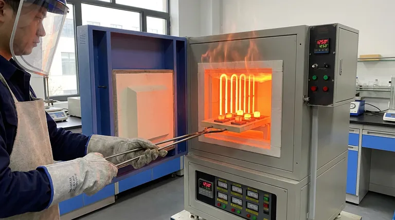 Welche kritische Umgebung bietet ein Hochtemperatur-Warmhalteofen für H13-Stahl? Beherrschung der mikrostrukturellen Homogenisierung