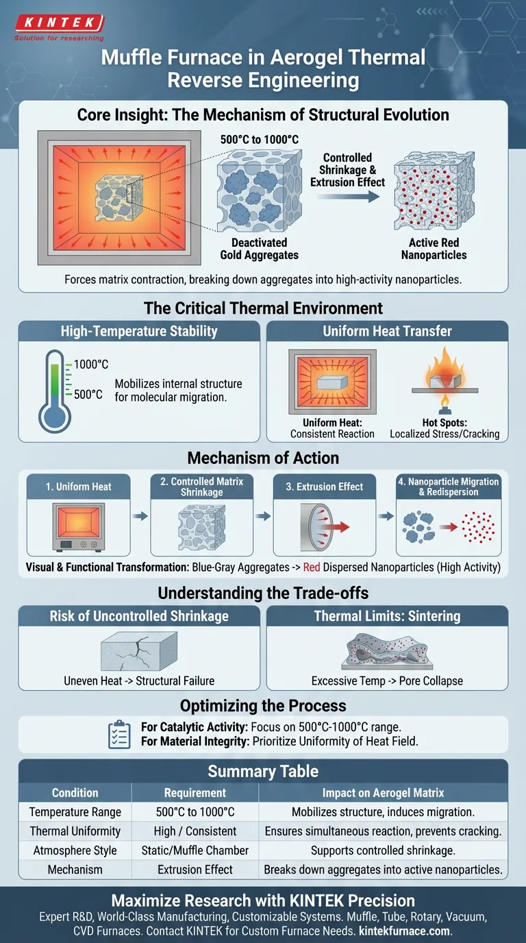 Quali condizioni di processo fornisce un forno a muffola per l'ingegneria inversa dei aerogel? Sblocca la riattivazione dei materiali Guida Visiva