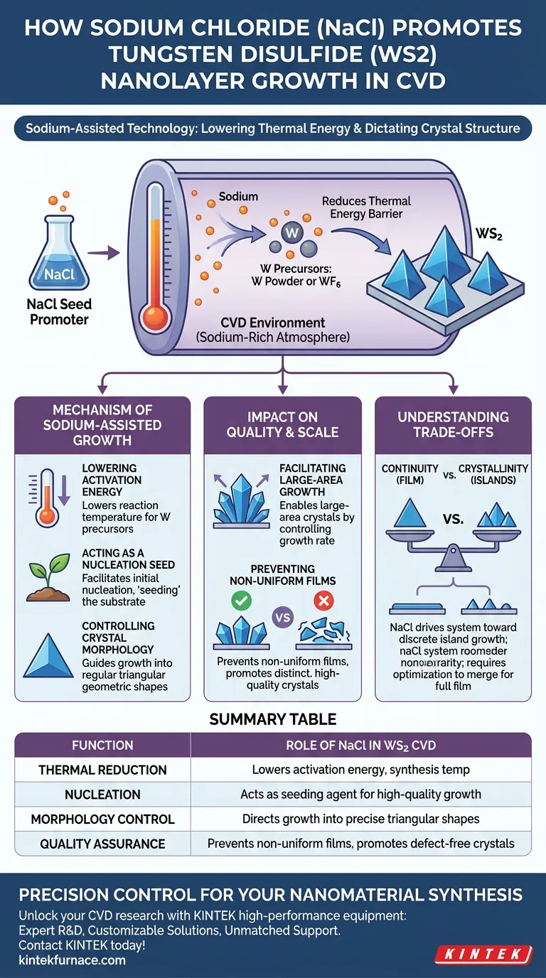 氯化钠 (NaCl) 如何作为 WS2 CVD 的生长促进剂？掌握纳米层形貌 图解指南