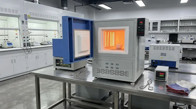 What is the primary purpose of using a high-temperature box resistance furnace during the pretreatment of kaolin catalysts? Optimize Performance & Structure