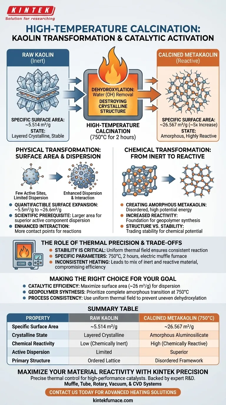 Come influisce la calcinazione ad alta temperatura sulla caolinite? Aumenta l'area superficiale e la reattività catalitica tramite trattamento termico Guida Visiva