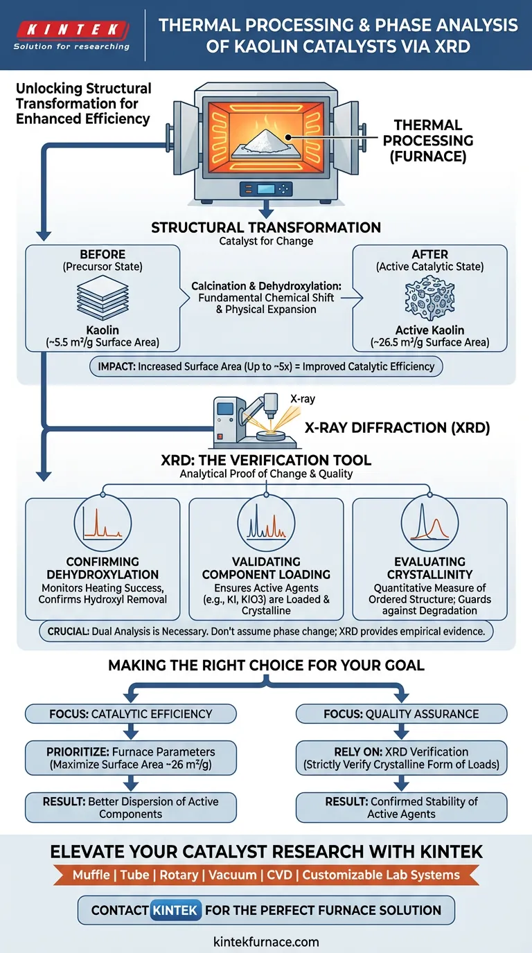 ¿Qué papel juega el procesamiento térmico en un horno en el análisis de fases de la caolinita? Optimice la estructura de su catalizador Guía Visual
