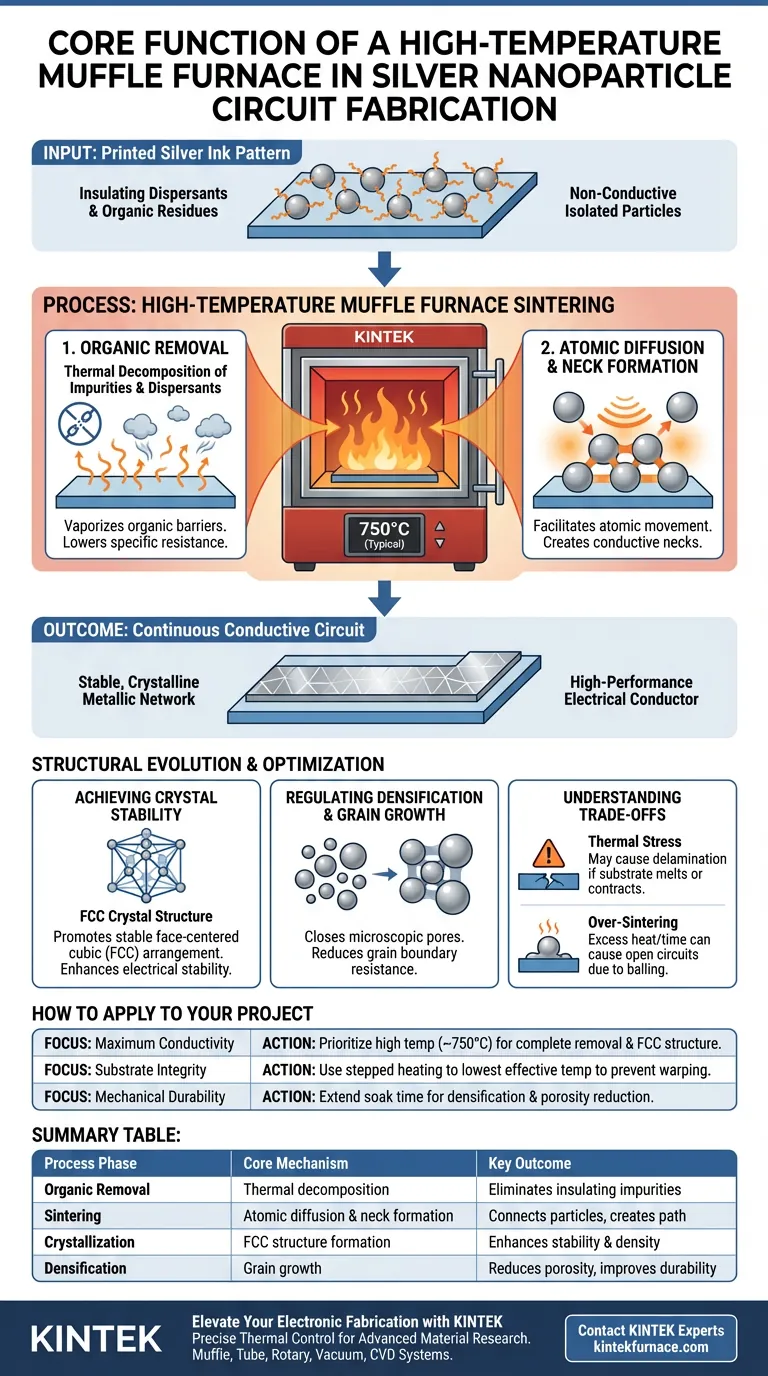 高温马弗炉在银纳米颗粒电路中的核心功能是什么？优化导电性 图解指南