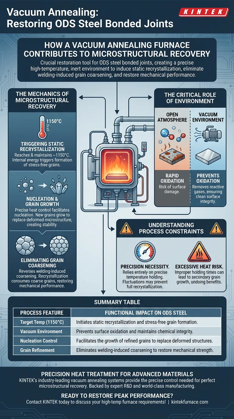 真空退火炉如何促进ODS钢的显微组织恢复？释放材料性能 图解指南