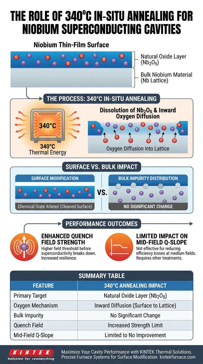 Каково основное назначение отжига ниобиевых резонаторов при температуре 340°C in-situ? Эффективное повышение напряженности поля пробоя Визуальное руководство