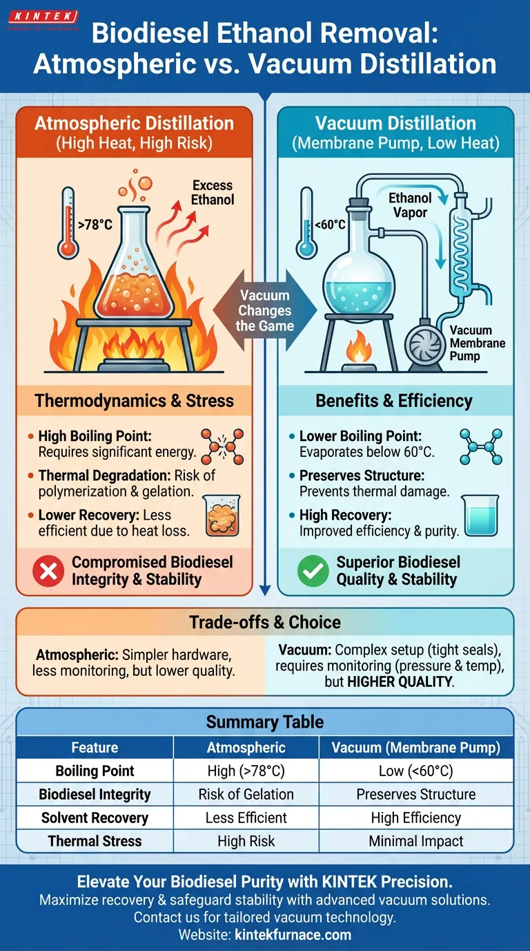 为什么真空蒸馏更适合去除生物柴油中的乙醇？通过低温处理保护燃油质量 图解指南