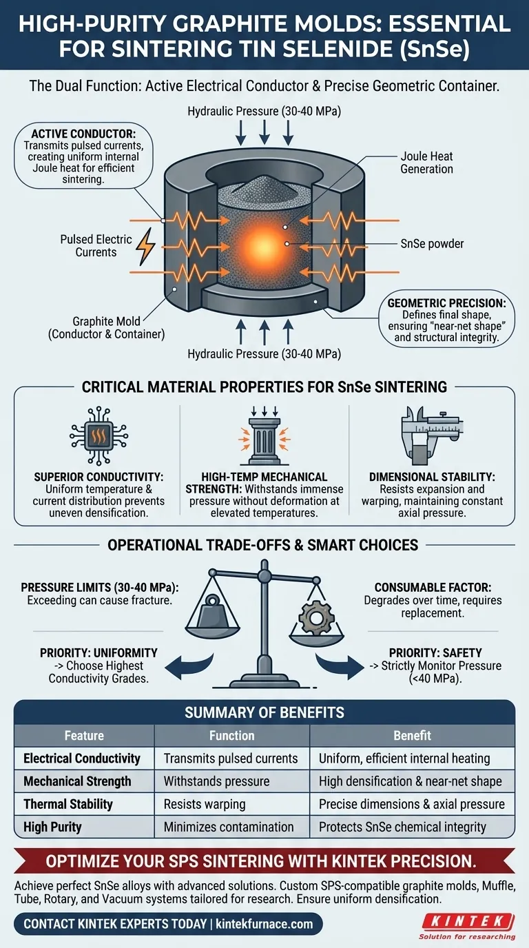 Почему высокочистые графитовые пресс-формы необходимы для спекания сплавов селенида олова (SnSe)? Ключ к точным результатам SPS Визуальное руководство