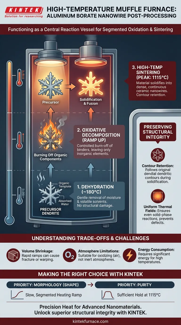 高温马弗炉在硼酸铝纳米线加工中的作用是什么？ 图解指南