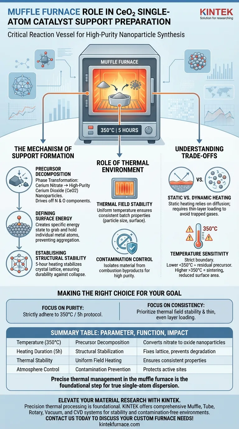 Какова роль муфельной печи в приготовлении CeO2? Инженер высокочистых подложек для катализаторов с отдельными атомами Визуальное руководство