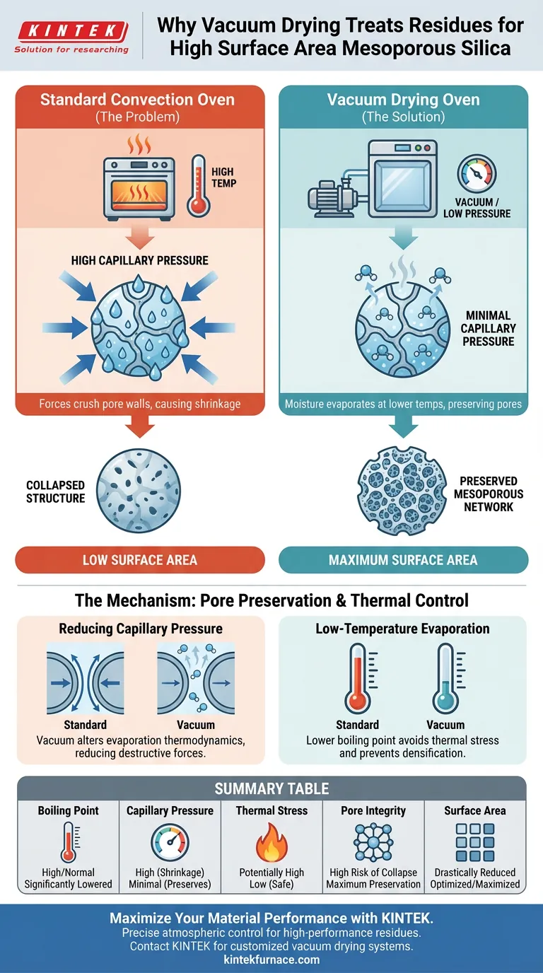 为什么对介孔二氧化硅使用真空干燥箱？保护高比表面积和结构完整性 图解指南