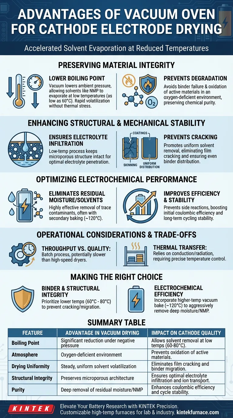 ¿Cuáles son las ventajas de utilizar un horno de vacío para el tratamiento de secado de electrodos de cátodo? Mejora el rendimiento de la batería Guía Visual
