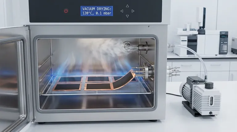 Por que um forno de secagem a vácuo é fundamental para eletrodos de carbono EN-LCNF? Obtenha Remoção Precisa de Solvente e Zero Oxidação