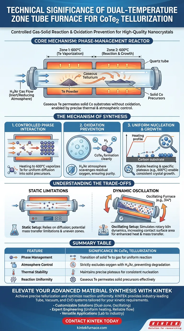 Quelle est la signification technique de l'utilisation d'un four tubulaire à double zone de température pour la tellurisation du CoTe2 ? Guide Visuel