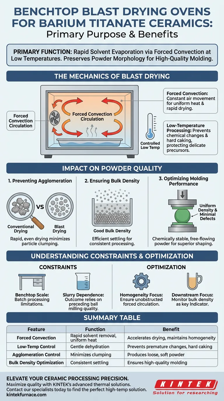 ¿Cuál es el propósito principal de un horno de secado por chorro de sobremesa? Optimizar la preparación de cerámica de titanato de bario Guía Visual