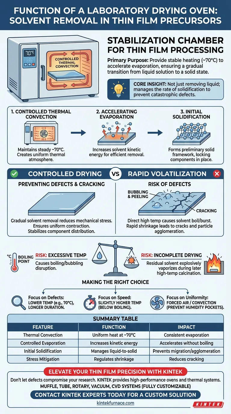 Qual é a função de uma estufa de secagem de laboratório na remoção de solvente de filmes finos? Garanta a solidificação sem defeitos Guia Visual
