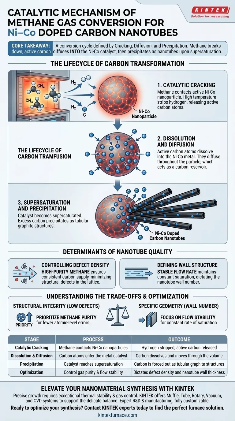 Qual é o mecanismo catalítico da conversão de gás metano na síntese de CNTs de Ni-Co? Domine a Transformação do Carbono Guia Visual