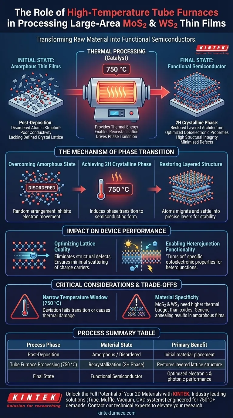¿Por qué se requiere un horno tubular de alta temperatura para películas delgadas de MoS2 y WS2? Lograr la excelencia en la fase cristalina 2H Guía Visual