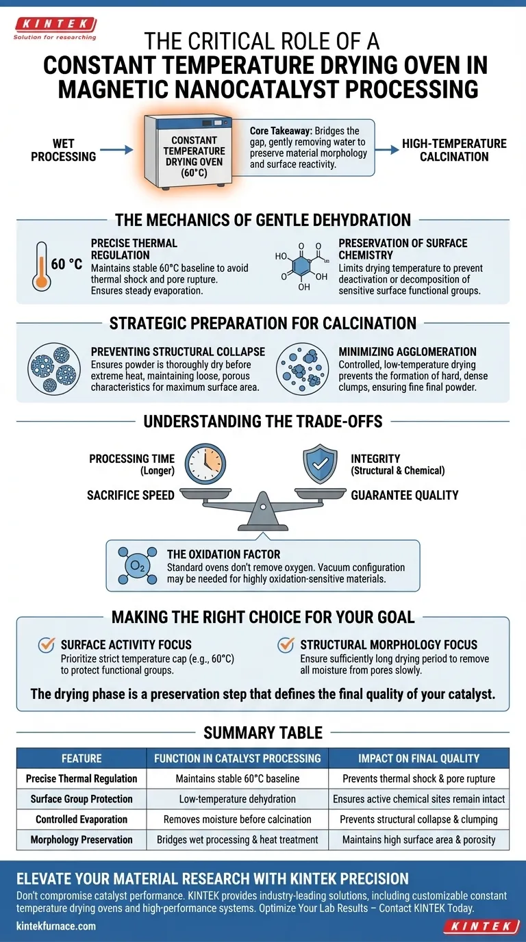 实验室恒温干燥箱在磁性纳米催化剂加工中有什么作用？保持磁性纳米催化剂的完整性 图解指南