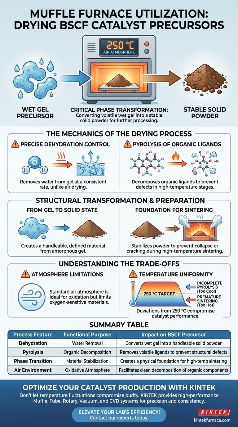 在BSCF催化剂前驱体的干燥处理中，如何利用马弗炉实现精确的相变？ 图解指南