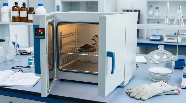 ラボ用乾燥オーブンは、C@TiC/SiO2キセロゲルの調製にどのように貢献しますか?構造的完全性を確保する