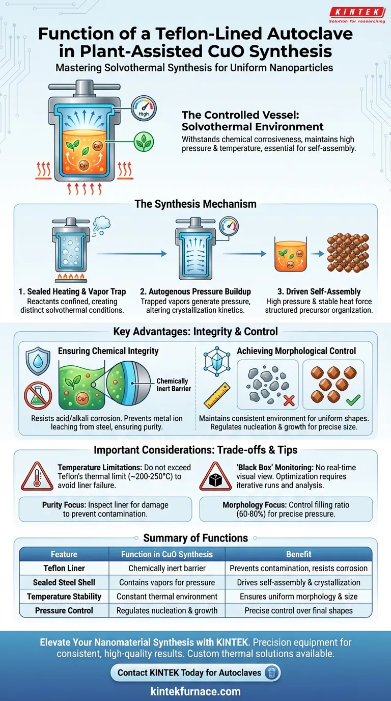 在 CuO 纳米颗粒合成中，特氟龙内衬高压釜的功能是什么？实现精确的实验室结果 图解指南