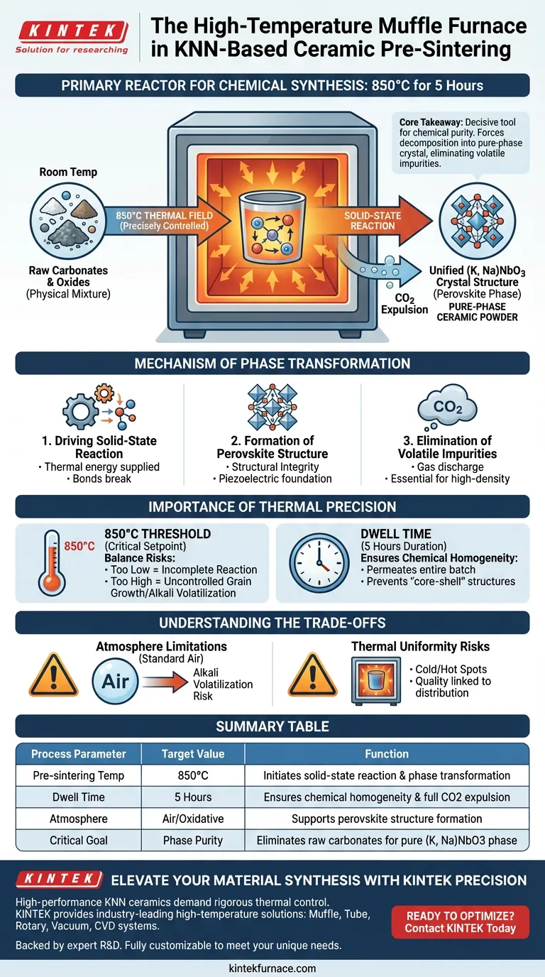 Welche Rolle spielt eine Hochtemperatur-Muffelofen beim Vorsintern von KNN-basierten Keramikpulvern? Wichtige Synthese-Erkenntnisse Visuelle Anleitung