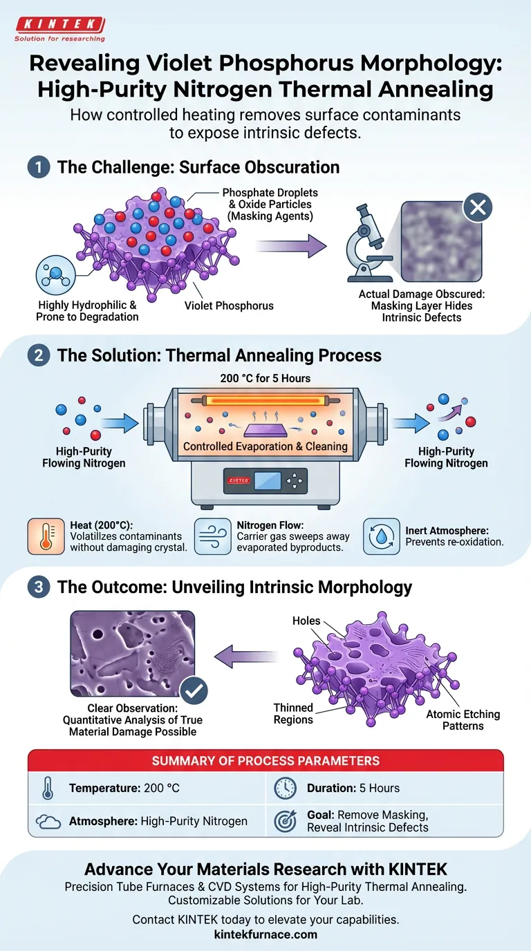 管式炉中的高纯氮热退火如何有助于观察紫磷？ 图解指南