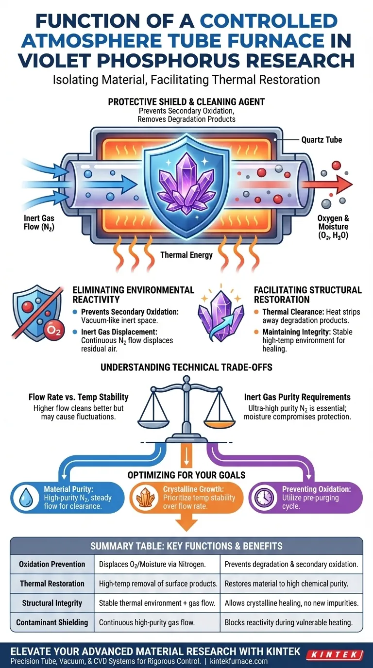 在紫磷研究中，受控气氛的作用是什么？实现高纯度材料修复 图解指南