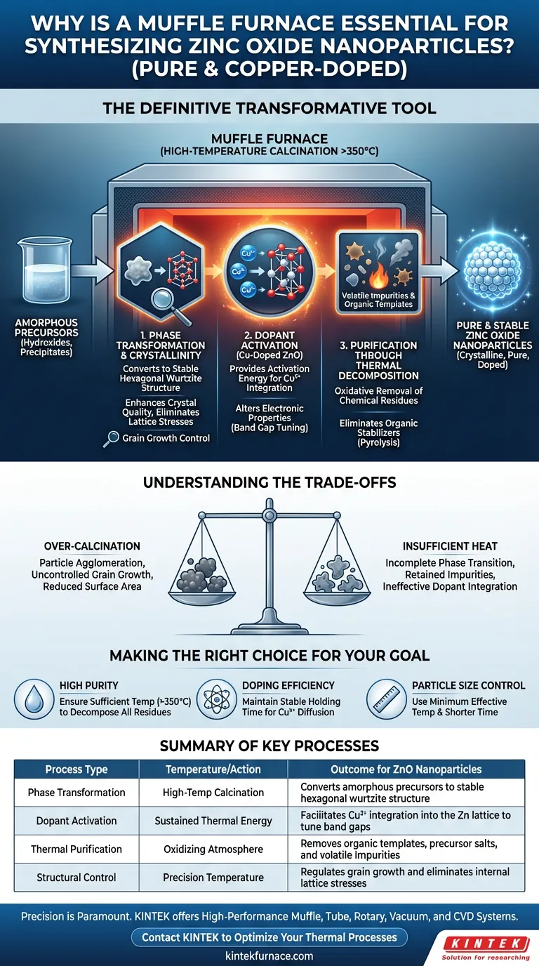 为什么马弗炉对于合成纯净和掺杂铜的氧化锌纳米粒子的最后阶段至关重要？ 图解指南