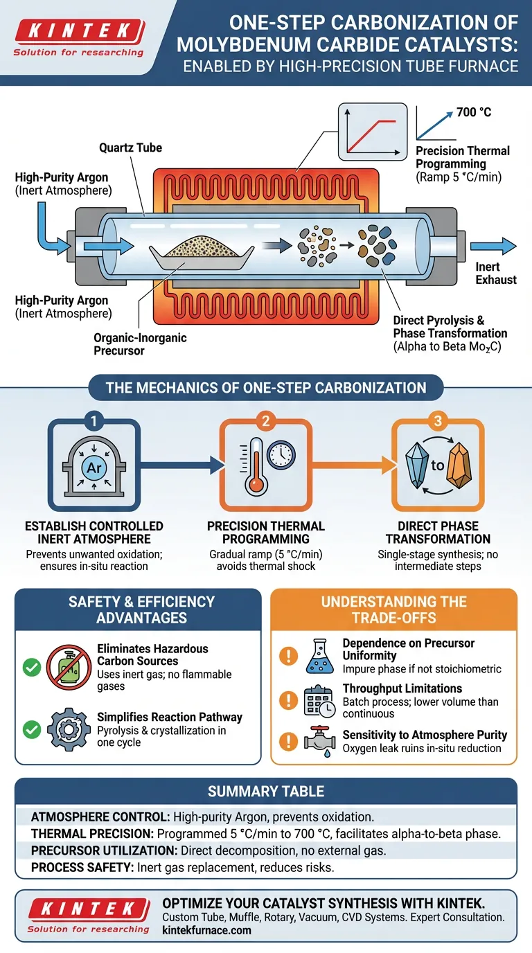 高精度管式炉如何促进碳化钼催化剂的一步碳化？ 图解指南