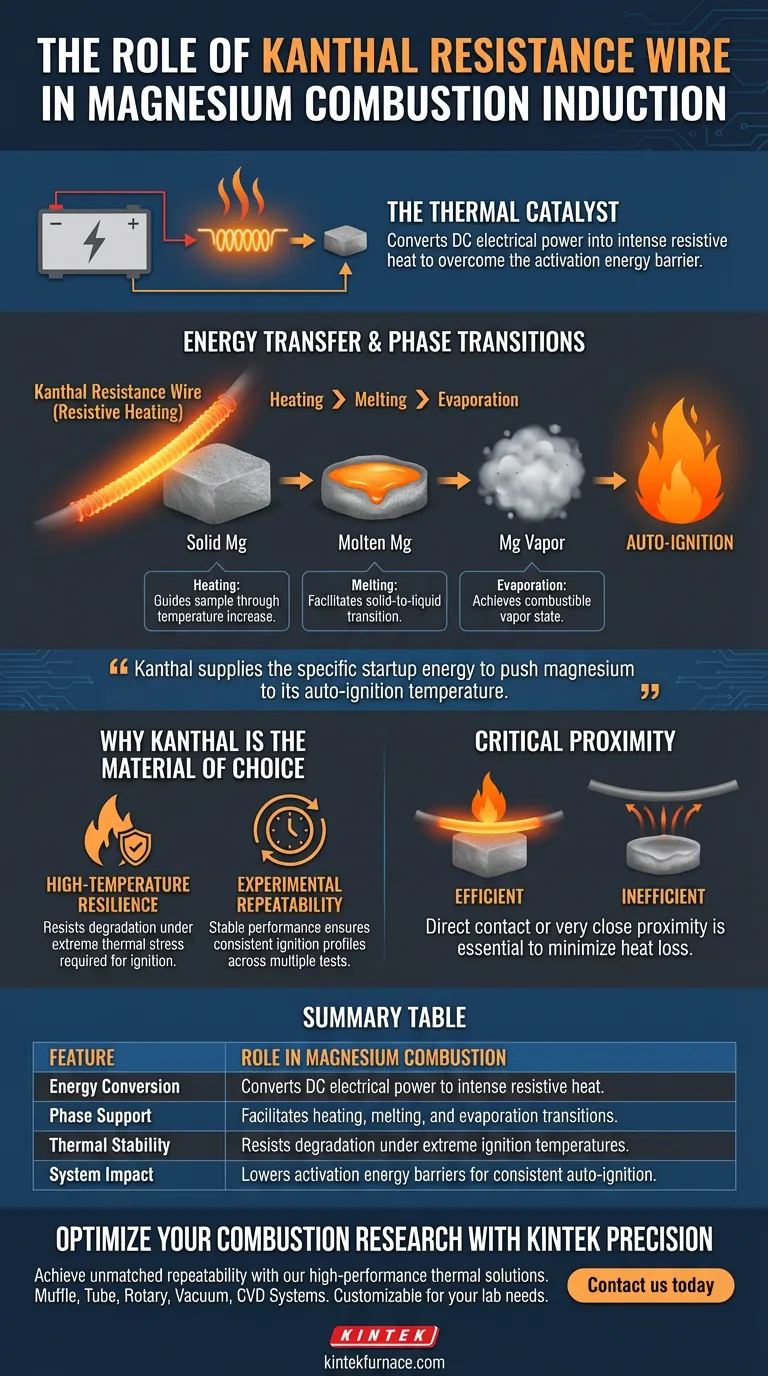 在镁燃烧的诱导阶段，康泰尔（Kanthal）电阻丝起什么作用？专家见解 图解指南