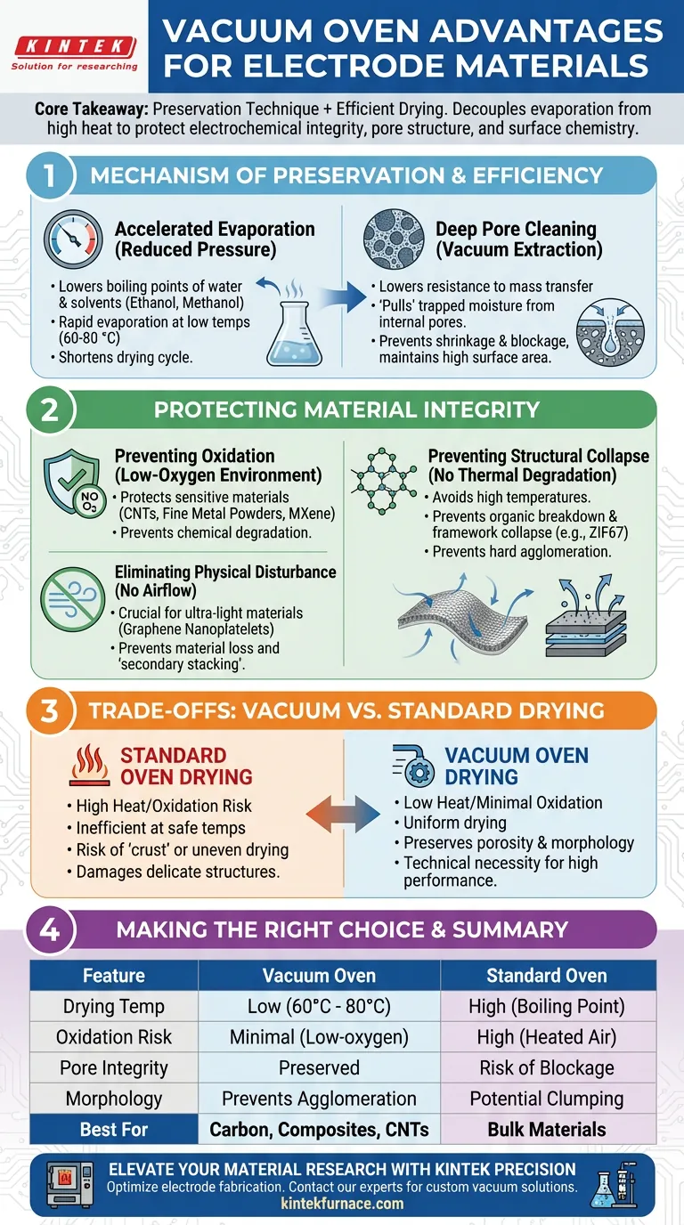 使用真空烘箱干燥多孔碳的优点是什么？保护微观结构并防止氧化 图解指南