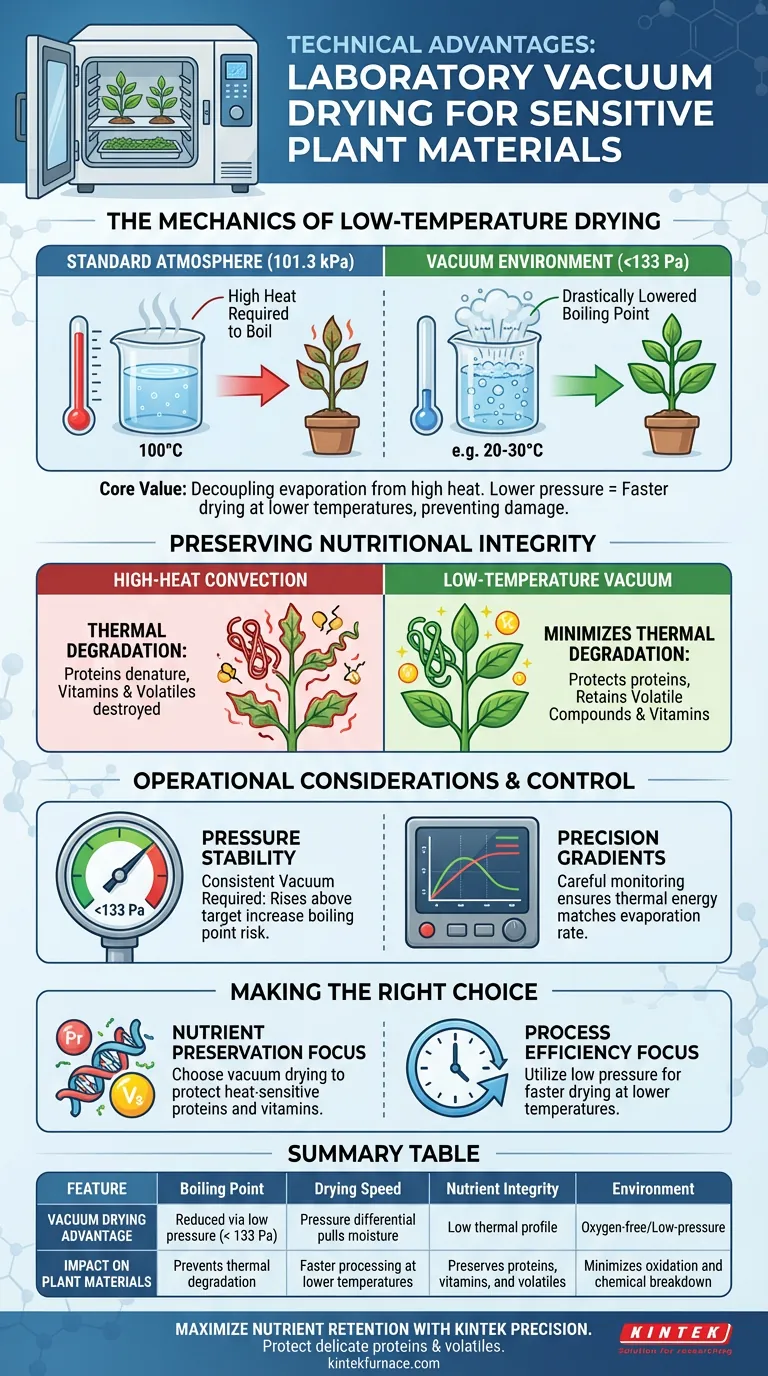 Quali sono i vantaggi tecnici dell'utilizzo di un essiccatore sottovuoto da laboratorio per la lavorazione di materiali vegetali? Preservare i nutrienti Guida Visiva