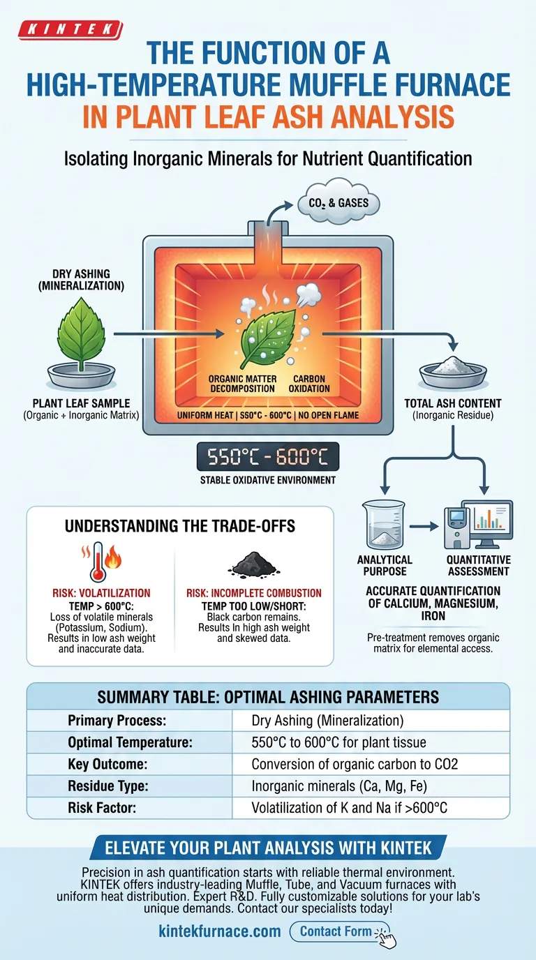 在植物叶片灰分分析中，马弗炉的作用是什么？掌握精确干灰化 图解指南