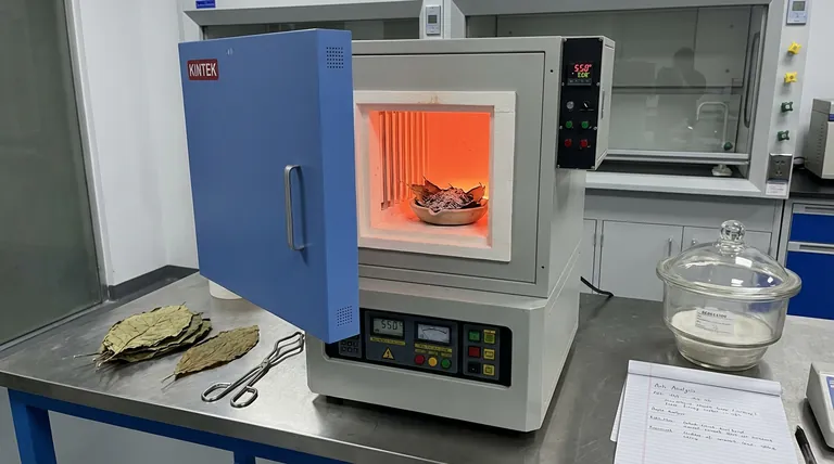 在植物叶片灰分分析中,马弗炉的作用是什么?掌握精确干灰化