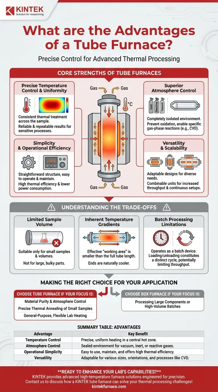 관상로의 장점은 무엇입니까? 정밀하고 제어된 열처리 달성 시각적 가이드