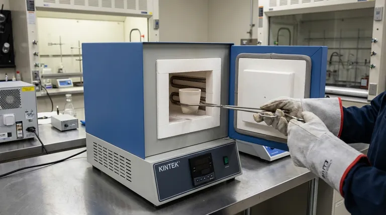 样品如何在马弗炉中放置?安全准确结果的分步指南